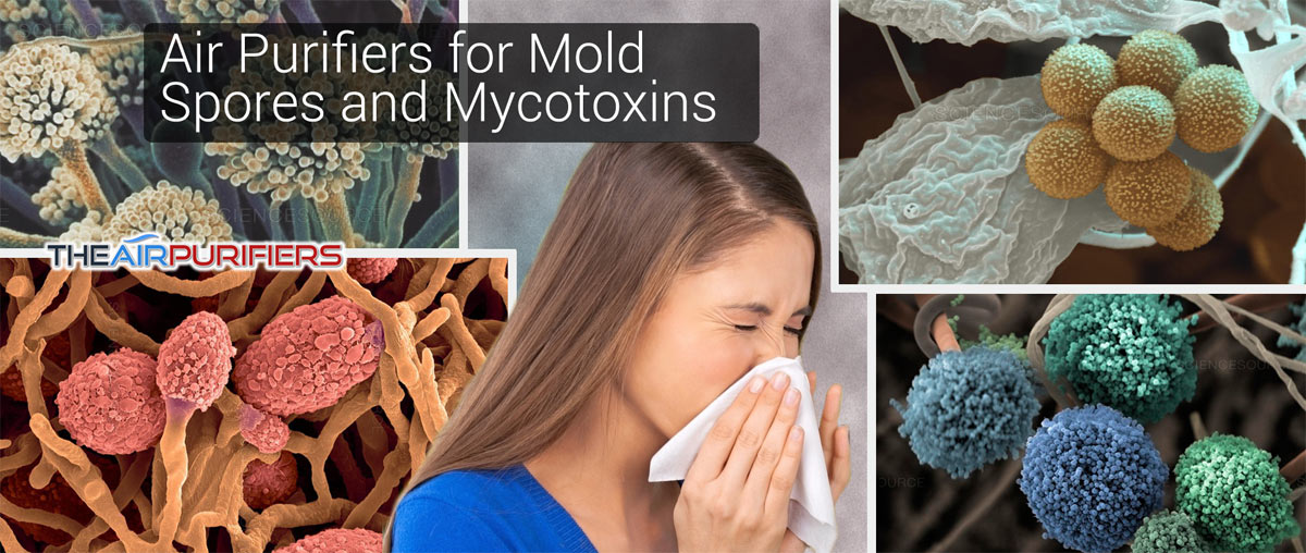 Air Purifiers for Mold Spore and Mycotoxins at TheAirPurifiers.com Air Purifiers for Mold Spore and Mycotoxins at TheAirPurifiers.com
