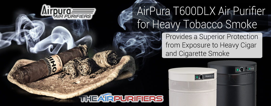 Airpura V600 Pet, Odor, and Smoke Air Purifier